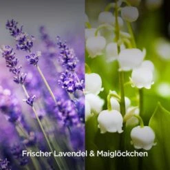 Airwick Raumduft Duftspray, 237 Ml, Geruchsneutralisierend, Lavendel & Maiglöckchen -Drogerie - Gesundheit Geschäft 0bcfc7788d6365d46cb9ed0ed7beddc3442c879e raumduft airwick duftspray 237 ml