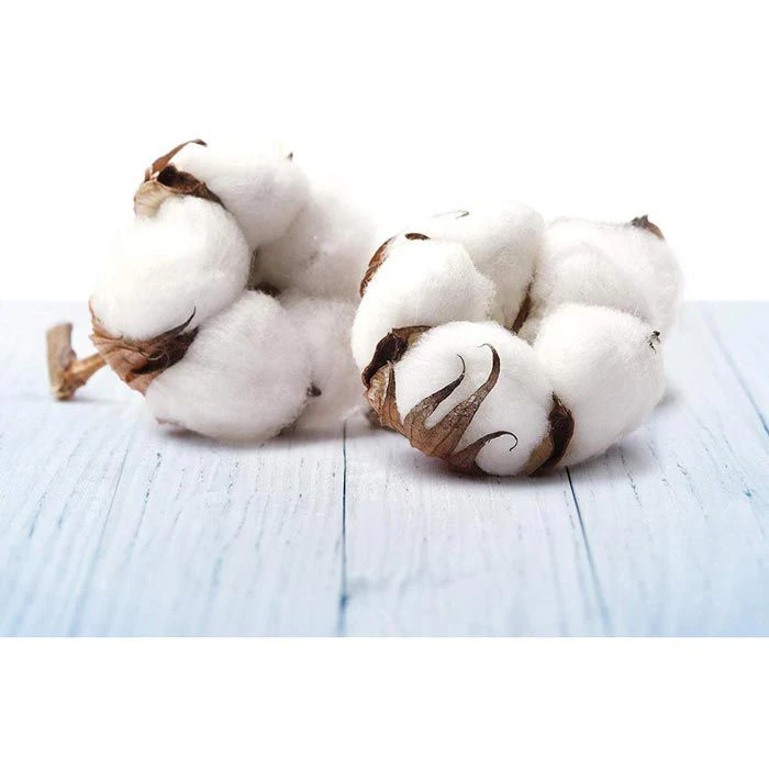 Airwick Raumduft Freshmatic Max, Pure, 250 Ml, Nachfüller, Frische Wäsche 2 Airwick Raumduft Freshmatic Max, Pure, 250 Ml, Nachfüller, Frische Wäsche – Bild 2