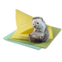 Spontex Spültuch Schwammtuch Classic PEFC, 5 Stück, Antibac, Mischgewebe, 18 X 25 Cm, Farbig Sortiert -Drogerie - Gesundheit Geschäft 3baaf0ab06fdea018f74ae3e5f0f91182c736791 spueltuch spontex schwammtuch classic pefc 5 stueck