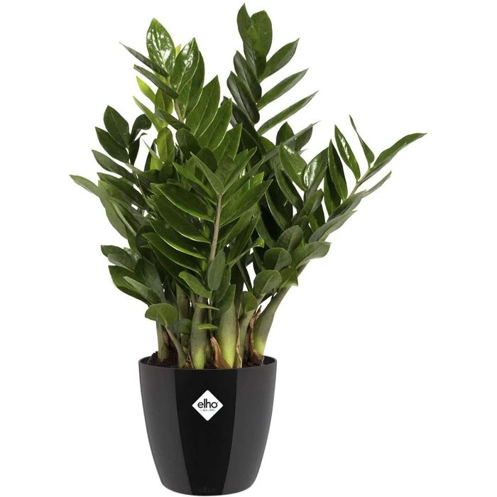 Elho Übertopf Brussels Diamond Rund, Schwarz, Ø 29 X H 27 Cm, Kunststoff 3 Elho Übertopf Brussels Diamond Rund, Schwarz, Ø 29 X H 27 Cm, Kunststoff – Bild 3