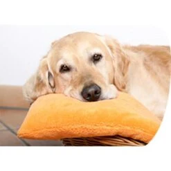 Tuba Teppichreiniger Fleckenspray, Mit Frischeduft, Mit Sprühkopf, Biohygienic-Formel, 500ml -Drogerie - Gesundheit Geschäft 6a7f4d27a7e3c22b28b7a63bc01ebca75280fa82 teppichreiniger tuba fleckenspray mit frischeduft