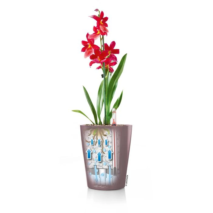 Lechuza Übertopf MINI-DELTINI, Taupe Hochglanz, 10 X 10 X 13 Cm, Kunststoff, Erdbewässerungssystem 4 Lechuza Übertopf MINI-DELTINI, Taupe Hochglanz, 10 X 10 X 13 Cm, Kunststoff, Erdbewässerungssystem – Bild 4