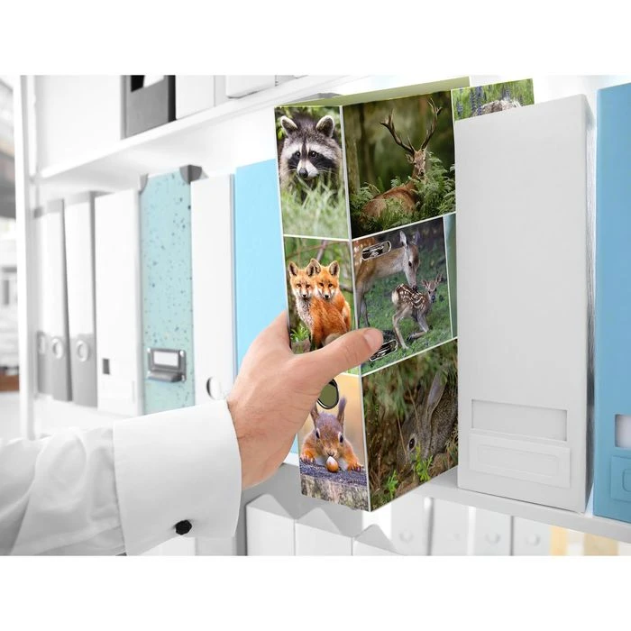 Herma Ordner 7202 Animals, Karton, A4, 7cm, Motiv Waldtiere 3 Herma Ordner 7202 Animals, Karton, A4, 7cm, Motiv Waldtiere – Bild 3