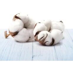 Airwick Raumduft Freshmatic Max Pure, Starterset, 250 Ml, Frische Wäsche 10 Airwick Raumduft Freshmatic Max Pure, Starterset, 250 Ml, Frische Wäsche -Drogerie - Gesundheit Geschäft 7c9de655eeb93f430c2d6c9214799ae9f0168a3c raumduft airwick freshmatic max pure