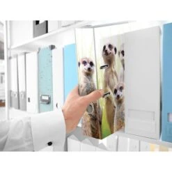 Herma Ordner 19955 Exotische Tiere, Karton, A4, 7cm, Motiv Erdmännchentruppe 7 Herma Ordner 19955 Exotische Tiere, Karton, A4, 7cm, Motiv Erdmännchentruppe -Drogerie - Gesundheit Geschäft 91bbb91ca1d041674298e812bdb4e1e349729dc7 ordner herma 19955 exotische tiere karton a4