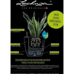 Lechuza Übertopf QUADRO LS 50 Anthrazit Metallic, 50 X 50 X 46,5 Cm, Quadratisch, Kunststoff -Drogerie - Gesundheit Geschäft 9e1cda4ebce7573846f65541398e7d92b9eb99b7 uebertopf lechuza quadro ls 50 anthrazit metallic