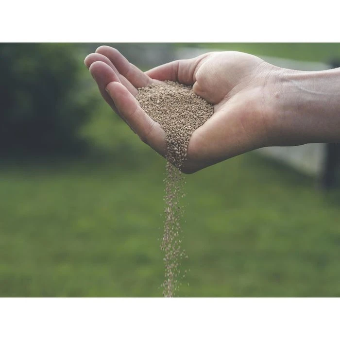 Substral Dünger Herbst Rasendünger, Langzeitwirkung Bis 90 Tage, 12,5 Kg Für 500m² 4 Substral Dünger Herbst Rasendünger, Langzeitwirkung Bis 90 Tage, 12,5 Kg Für 500m² – Bild 4