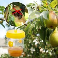 Gardigo Wespenfalle Wespenfänger 2er Set, Gelb, Zum Aufhängen, Lockstoff-Falle 14 Gardigo Wespenfalle Wespenfänger 2er Set, Gelb, Zum Aufhängen, Lockstoff-Falle -Drogerie - Gesundheit Geschäft d8505863da2b1addca9991ef3582aae1ea860d3f wespenfalle gardigo wespenfaenger 2er set gelb