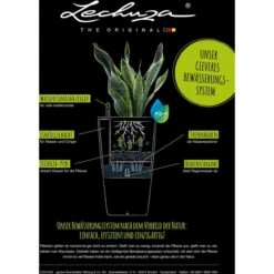 Lechuza Übertopf HAVALO 60, Seashell Nude, 60 X 60 X 85 Cm, Kunststoff, Erdbewässerungssystem -Drogerie - Gesundheit Geschäft ee1850b0e08956a01be89acc9a375d3196e469a1 uebertopf lechuza havalo 60 seashell nude