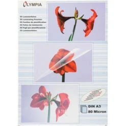 Olympia Laminierfolien 9174, DIN A3, 80 Mic, Glänzend, 50 Stück